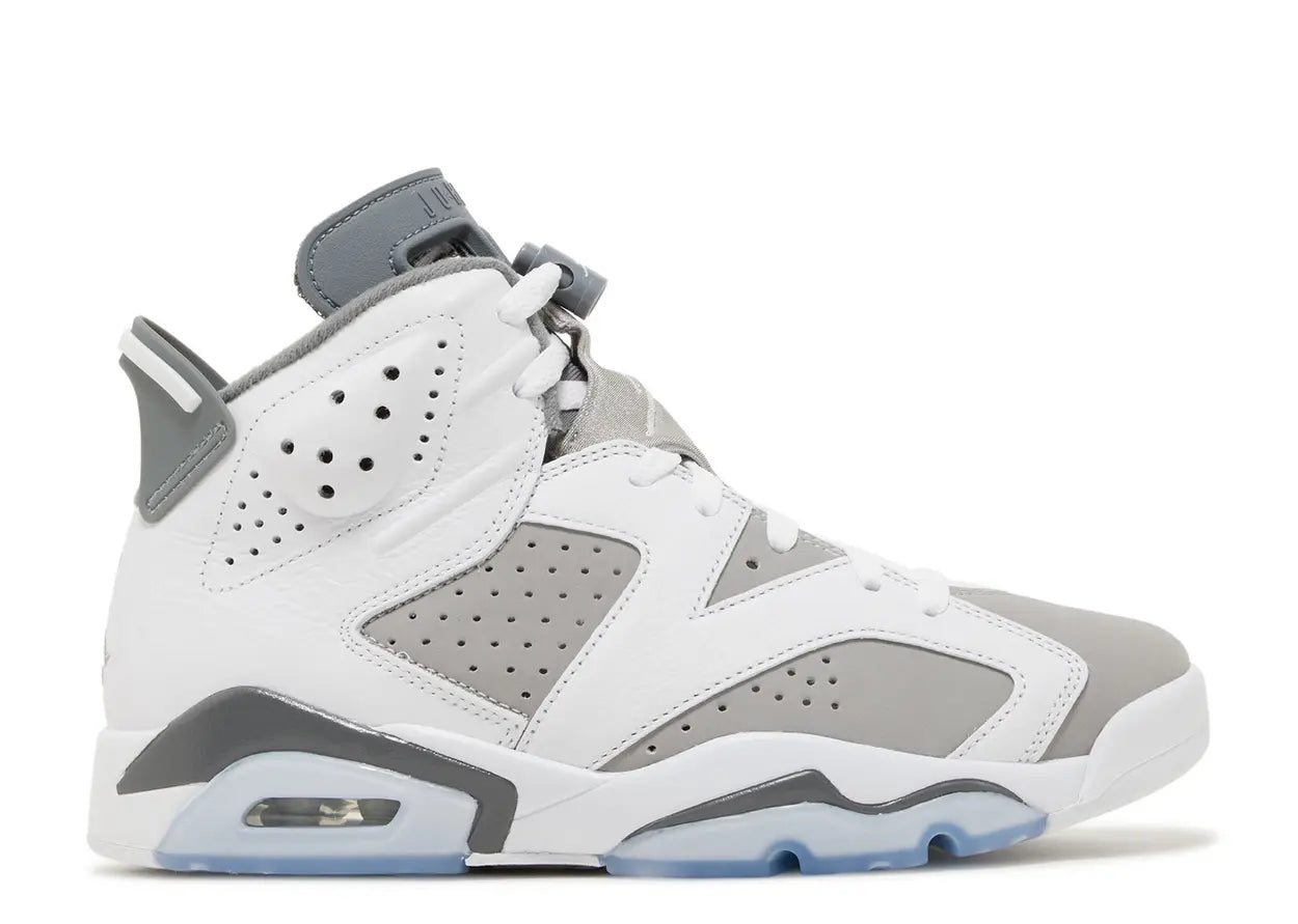 Air Jordan 6 "Cool Grey"